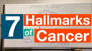 Hallmarks of Cancer  Pathophysiology [upl. by Neeroc316]