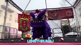 Leung White Crane Lion Dance Performance [upl. by Yecrad789]