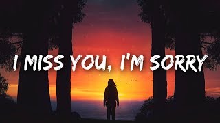 Gracie Abrams  I miss you I’m sorry Lyrics [upl. by Yllek]