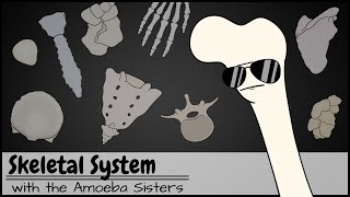 Skeletal System [upl. by Yenolem136]