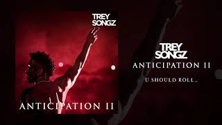 Trey Songz  U Should Roll Official Audio [upl. by Oloapnaig]