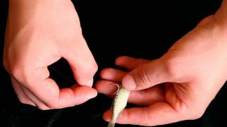 Fishing Basics Using live minnows [upl. by Philander]