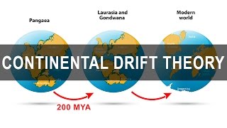 Continental Drift Theory  Alfred Wegener  Pangea  Gondwanaland [upl. by Euridice]