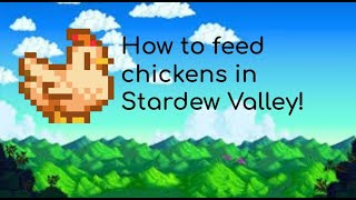 How to feed chickens in Stardew Valley [upl. by Lleznod]