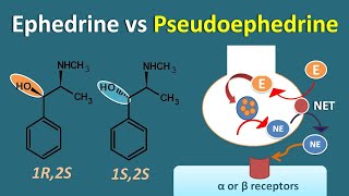 Ephedrine vs Pseudoephedrine  Similarities and differences [upl. by Eeuqram]