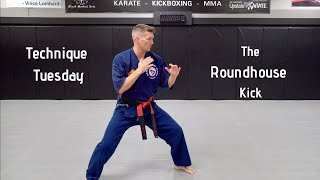 Technique Tuesday  How To The Roundhouse Kick [upl. by Leitnahs]