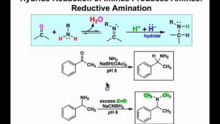 Reductive Amination Mechanism amp Examples [upl. by Fernandez]