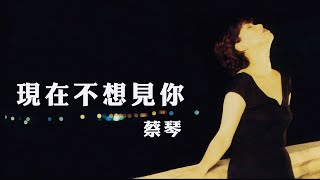 蔡琴 Tsai Ching 《現在不想見你》Official Lyric Video [upl. by Moffat817]