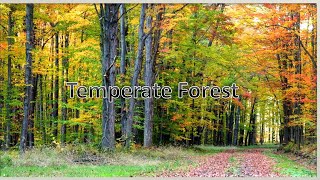 Temperate Forest Deciduous Forest Temperate Biome Facts [upl. by Norse]