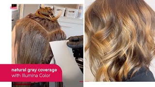 NaturalResult Gray Coverage with Illumina Color  Wella Professional [upl. by Enyawd]