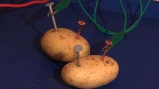 How To Make Your Own Potato Battery [upl. by Suivatna]