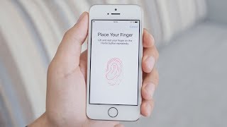 How Does Fingerprint Scanning Work [upl. by Gagnon]