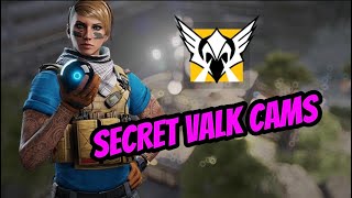 THESE SECRET Valk Cams in Lair are INSANE [upl. by Htebharas]