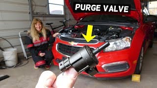 CHEVROLET CRUZE SONIC PURGE VALVE REPLACEMENT REMOVAL LOCATION CHEVY PURGE VALVE [upl. by Yeldud281]