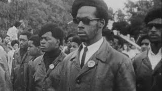 Who Were The Black Panthers Its Complicated  Newsy [upl. by Lhadnek700]