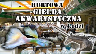 HURTOWA Giełda Akwarystyczna w Łodzi [upl. by Swirsky261]