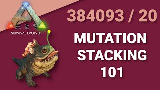 InDepth MUTATION STACKING GUIDE for ARK Survival Evolved [upl. by Messere]