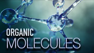 What You Need to Know About Organic Molecules [upl. by Irreg]