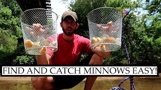 How to Find AND Catch Minnows for Bait [upl. by Norted]