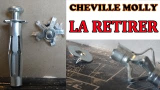 retirer une cheville molly proprement how to remove hollow wall anchors properly [upl. by Zampino]