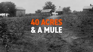 Land Giving Rise to the Famous Phrase 40 Acres amp a Mule [upl. by Aniez]