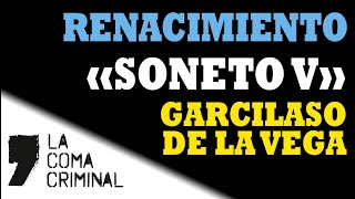 Soneto V  Garcilaso de la Vega Comentario de texto resuelto Lengua Castellana y Literatura [upl. by Lussi]