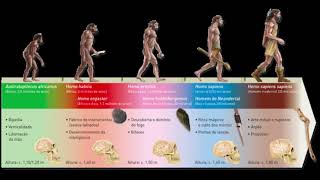 História 01  PréHistória I Processo de Hominização [upl. by Sib]