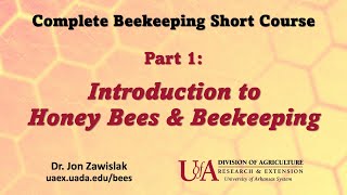 Part 1 Intro to Beekeeping [upl. by Hanikehs]