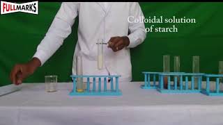 Lab Manual Science CBSE Class 9 Experiment No 1 Solution Colloids Suspension [upl. by Sylado]