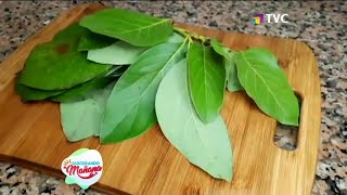 ¿Cuáles son los beneficios de la hoja de aguacate [upl. by Aisinoid]