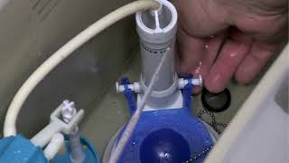 How to Replace a Toilet Flapper [upl. by Iolanthe]