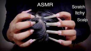 ASMR Fast Scratch itchy scalp So I Did Satisfying Scalp Scratching  No Talking [upl. by Ettenuahs756]