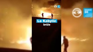 En Algérie la Kabylie en proie aux flammes • Les Observateurs  France 24 [upl. by Goodard904]