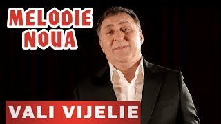 Vali Vijelie si Stelu Pandelescu  Sotia mea frumoasa NOU 2019 [upl. by Kurtzman]