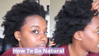 The ULTIMATE DETAILED Guide For Transitioning To Natural Hair 4C [upl. by Liederman121]