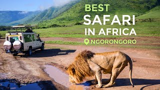 Travel in 2021 Safari in Tanzania Ngorongoro [upl. by Crescen]