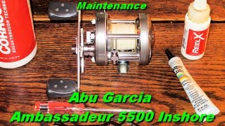 Abu Garcia Ambassadeur 5500 Inshore Fishing Reel Maintenance [upl. by Anaihs]