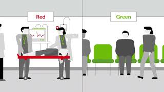 How to organize an emergency care system The essential components [upl. by Alberto430]