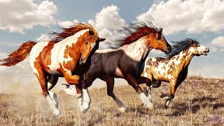 Wild Horses Natures Survivors in North America [upl. by Ayahs395]