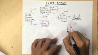 Fluorescence Lifetime Imaging Microscopy FLIM  Overview [upl. by Wolfgang326]