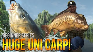 Lvl50 Weeping Willows UNIQUE Carp Method Leads amp More  Fishing Planet [upl. by Erodisi990]