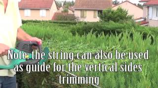 How to trimcut a hedge straight [upl. by Coulter]