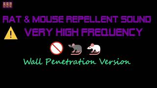 ⚠️Wall Penetration Version 🚫🐀🐁 Rat amp Mouse Repellent Sound Very High Frequency 3 Hour [upl. by Leahcin]