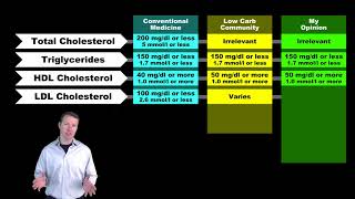 How to Read Cholesterol ParticleFractionation Tests [upl. by Allen978]