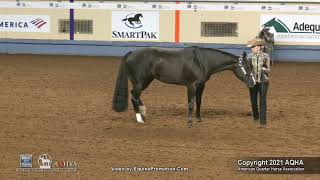 2021 AQHA Youth 14 18 Showmanship [upl. by Nerok]