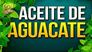 Para Que Sirve El Aceite De Aguacate  Propiedades Beneficios Y Contraindicaciones Del Aguacate [upl. by Burke]