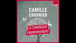 Comment économiser leau sous la douche  La chronique environnement [upl. by Newhall]