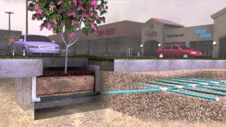 Filterra® Bioretention amp Biofiltration System Overview [upl. by Esoranna]