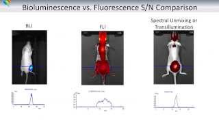 Basics Of Optical Imaging In Vivo  Part I Tissue Optics [upl. by Lindell]