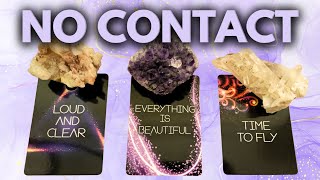 NO CONTACT FEELINGS ACTIONS PICK A CARD TIMELESS TAROT READING [upl. by Norrad]